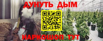 гидра Волгодонск