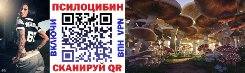 Псилоцибиновые грибы прущие грибы  Лосино-Петровский 